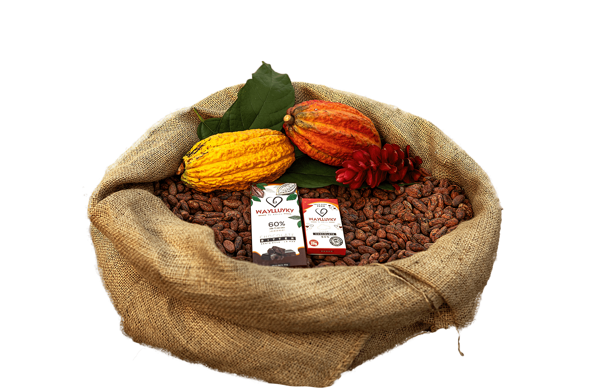 Cacao chocolate sumaq sunqu cacao sumaq sunqu